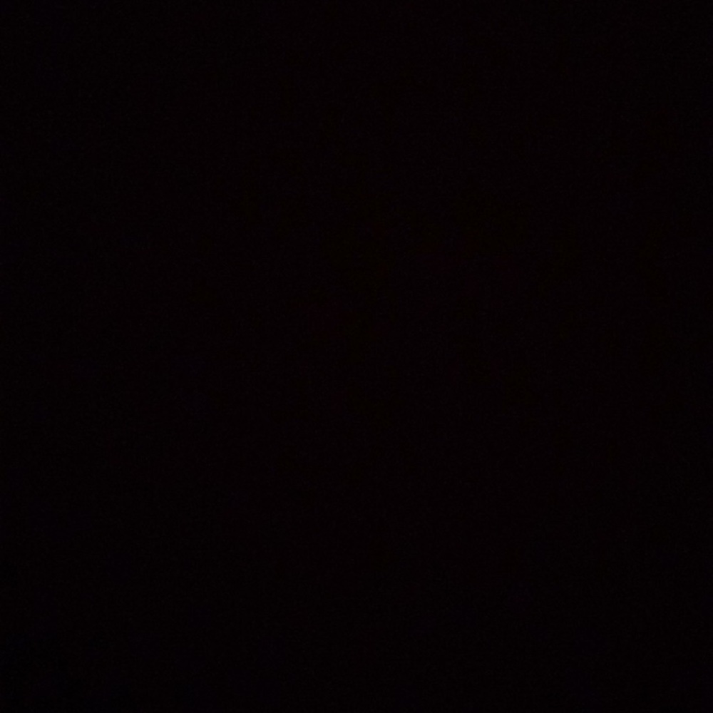 Meet your Posher, Evelyne